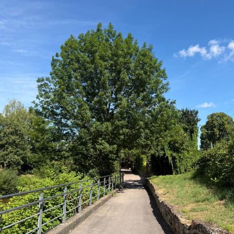 Schlossweg in Plüderhausen