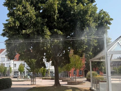 Nebeldusche auf dem Plüderhäuser Marktplatz