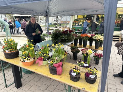 Die neue Marktbeschickerin Frau Metzger auf dem Wochenmarkt mit Ihren Blumen und Geschenkkörben auf dem Markplatz in Plüderhausen. 
