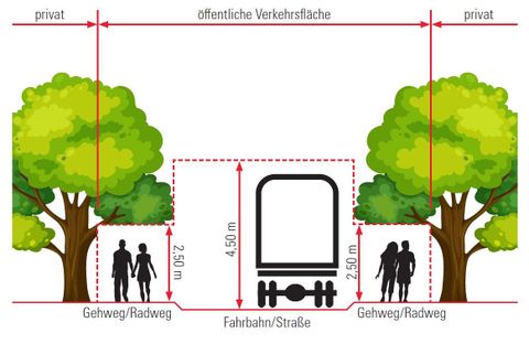 grafische Darstellung des Lichtraumprofiles für den Rückschnitt
