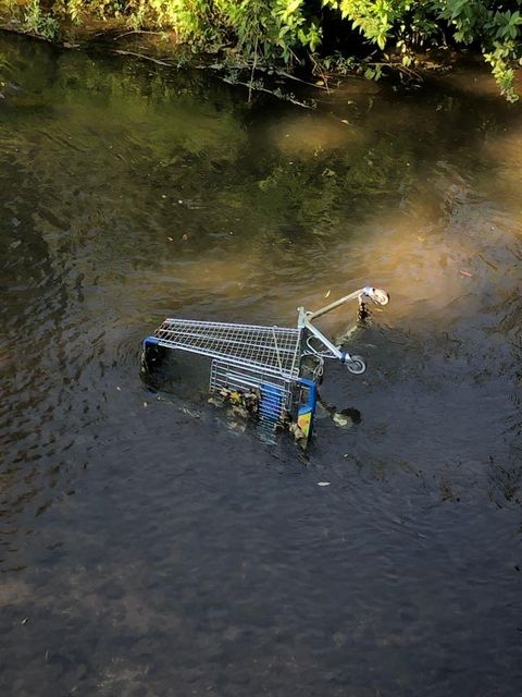 Einkaufswagen in der Rems