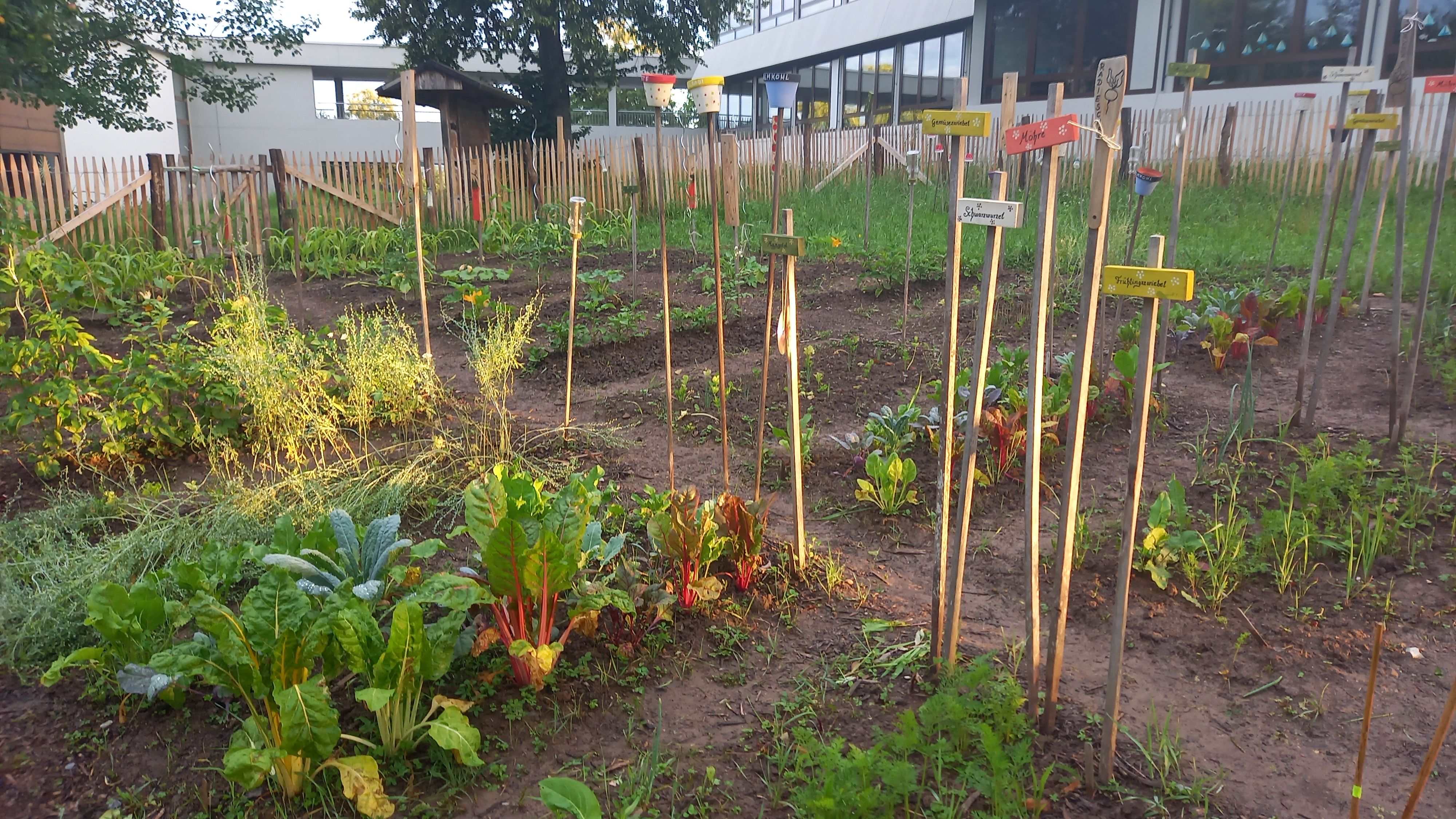 Gemüseacker der Gemüseackerdemie
