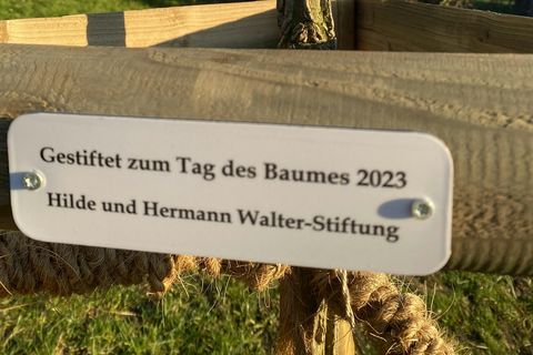 Bild zeigt Foto von der Pflanzung von Bäumen zum Tag des Baumes am Hohbergschulzentrum 