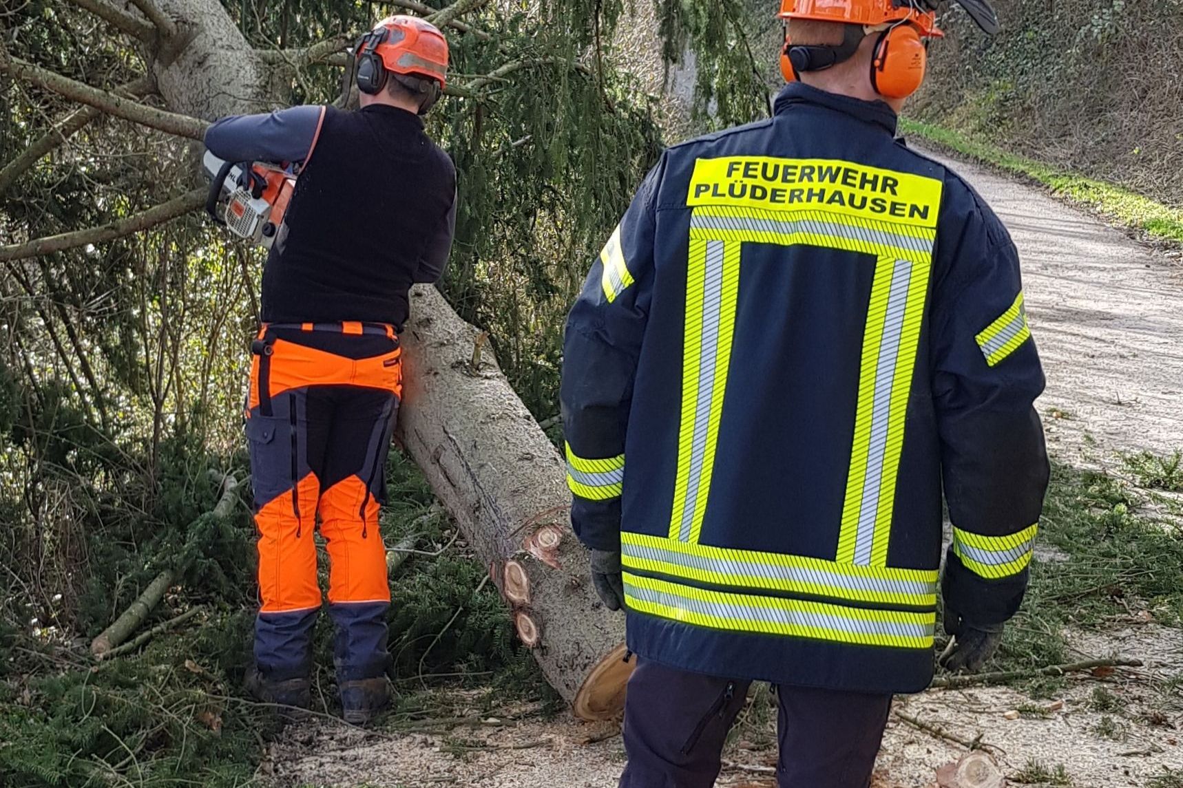 Beseitigung umgestürtzter Bäume
