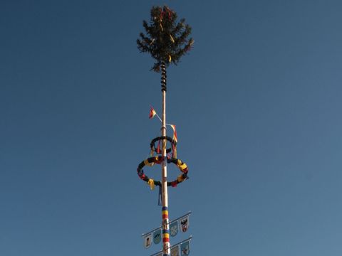 Maibaum