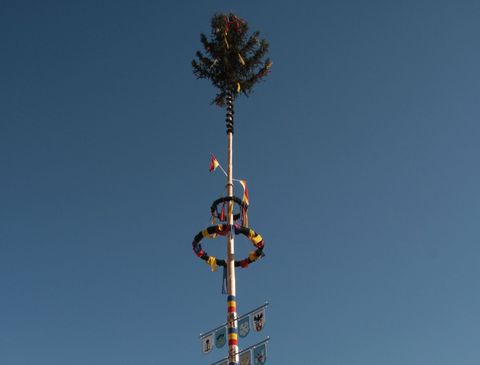 Maibaum